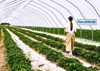 novashield-greenhouse-hero